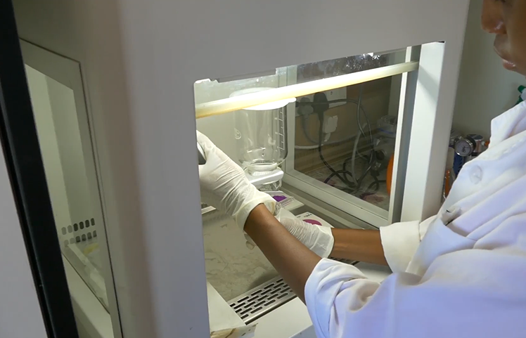 Water quality testing in the THIRSTI lab