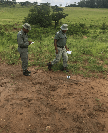 Tracking course training