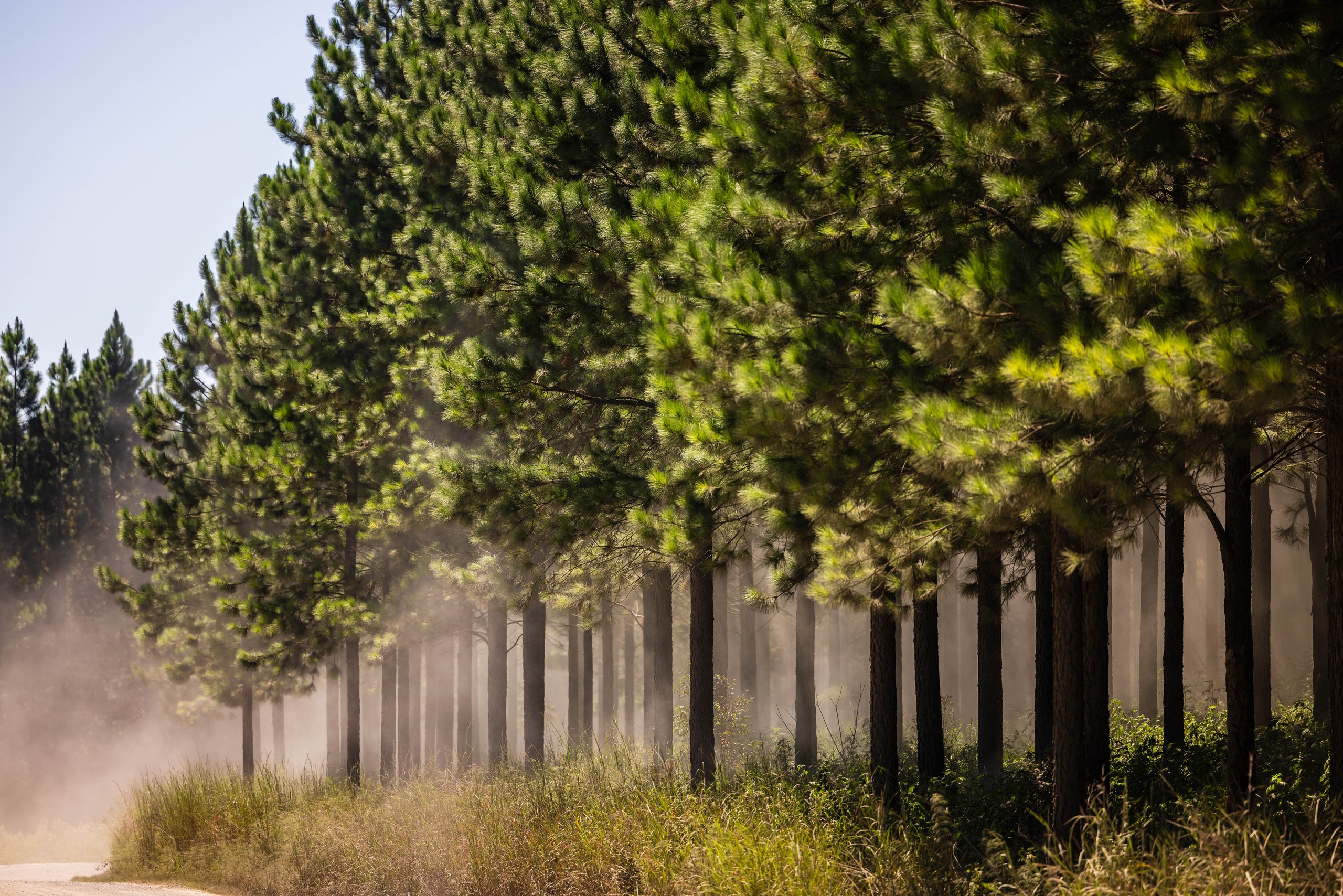 Sustainable operations