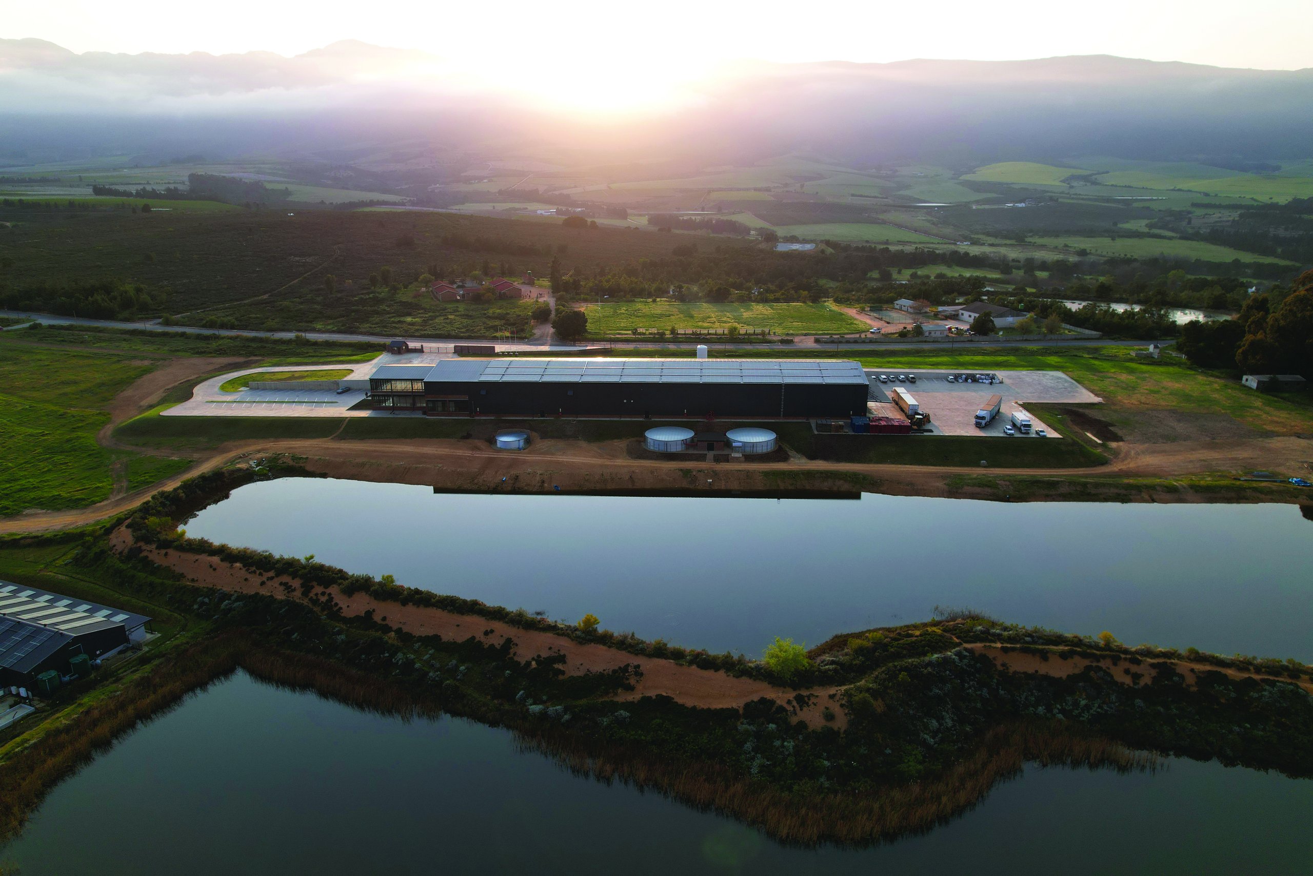 The Tulbagh bottling plant